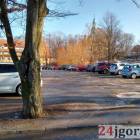 Fotka nr 5 z 13