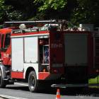 Fotka nr 2 z 6