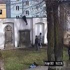 Fotka nr 3 z 7
