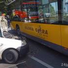 Fotka nr 5 z 6