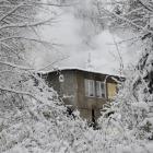 zdjęcie nr 19
