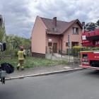Fotka nr 5 z 7
