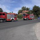 Fotka nr 5 z 7