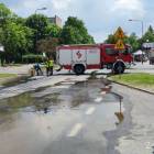 zdjęcie nr 9