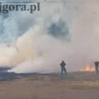 zdjęcie nr 33