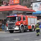 Fotka nr 5 z 11