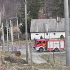 Fotka nr 3 z 11