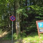 Fotka nr 5 z 6