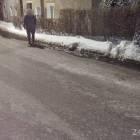 Fotka nr 2 z 4
