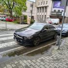 fot. Straż Miejska Jelenia Góra