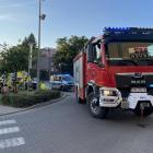 Fotka nr 2 z 7