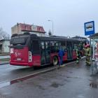 Fotka nr 1 z 6