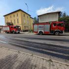 fot. Straż Miejska Jelenia Góra