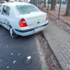 Fotka nr 5 z 7