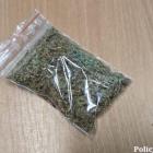 fot. Policja Jelenia Góra