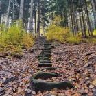 fot. Karkonosze GO