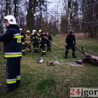 Fotka nr 1 z 13