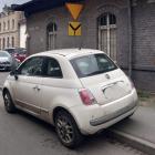 fot. Straż Miejska Jelenia Góra