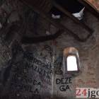 Fotka nr 5 z 11