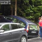 zdjęcie nr 7