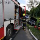 Fotka nr 1 z 12