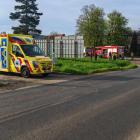 Fotka nr 2 z 12