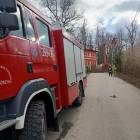 Fotka nr 4 z 18