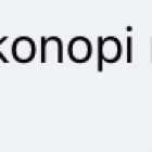 Fotka nr 0 z 5