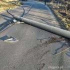 Fotka nr 2 z 6