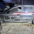 Fotka nr 2 z 3