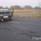 Fotka nr 4 z 6