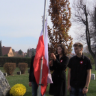 Fotka nr 3 z 26