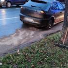 Fotka nr 2 z 6