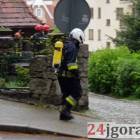 zdjęcie nr 10