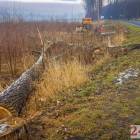 zdjęcie nr 15