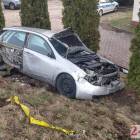 Fotka nr 5 z 8
