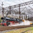Fotka nr 4 z 10