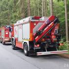 Fotka nr 2 z 6