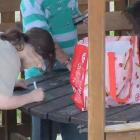 fot. Straż Miejska Jelenia Góra