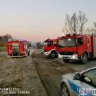 Fotka nr 3 z 19