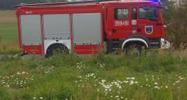 Fotka nr 5 z 9