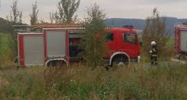 zdjęcie nr 8