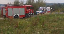 zdjęcie nr 9