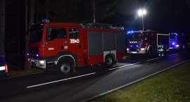Fotka nr 4 z 12