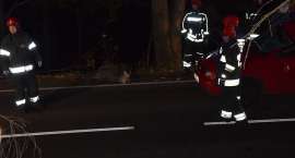 Fotka nr 2 z 12