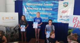 zdjęcie nr 8