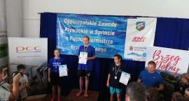 zdjęcie nr 13