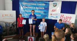 zdjęcie nr 16