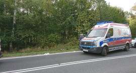 Fotka nr 2 z 7