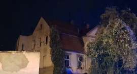 zdjęcie nr 9